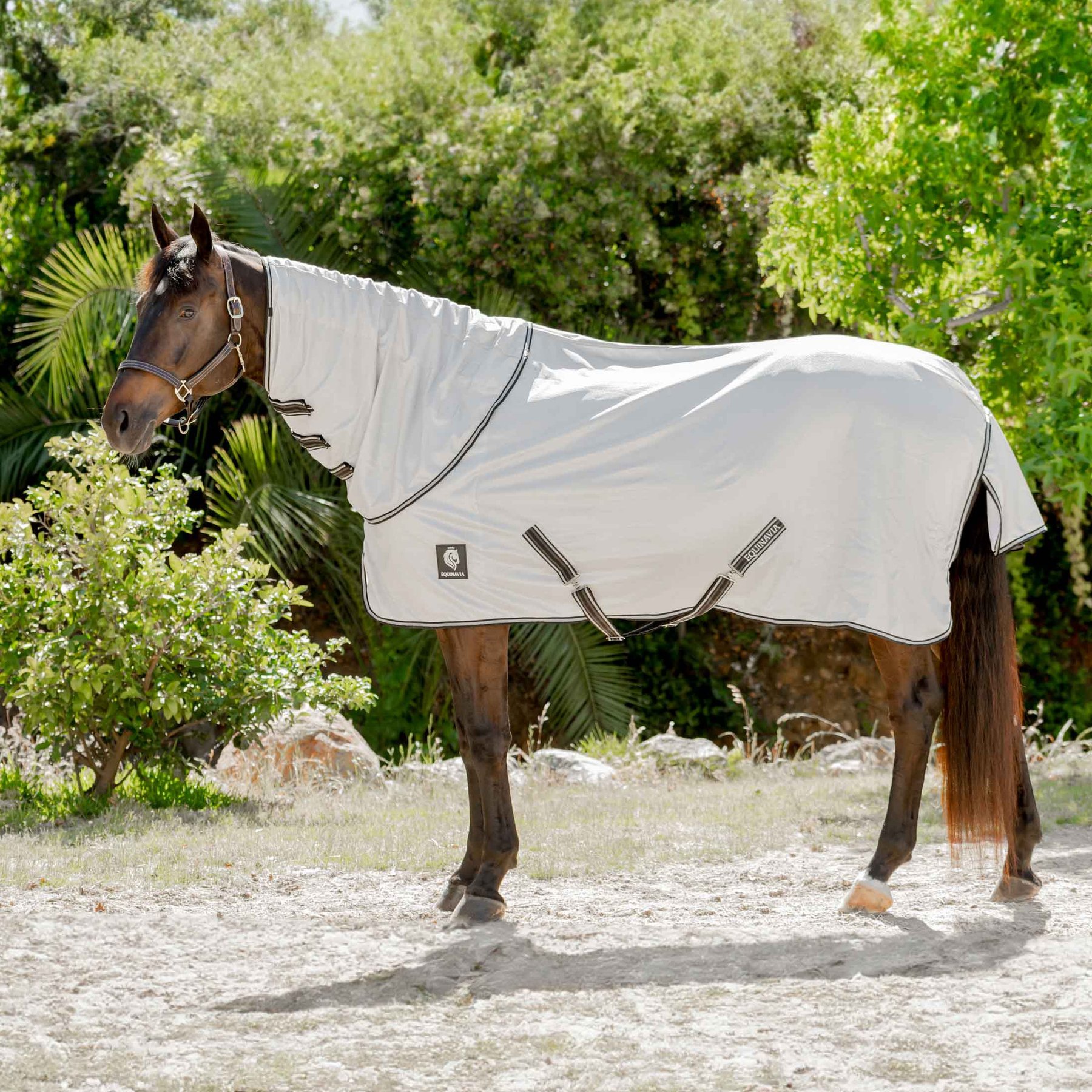 Equinavia Brisk Horse Fly Sheet with Detachable Neck, Silver Gray, 81-in