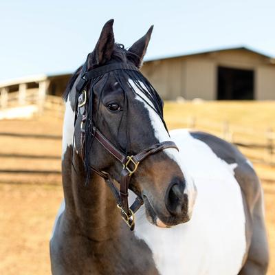 Show full view: Horze Simple Horse Fly Veil, Black, Large slide 4 of 7