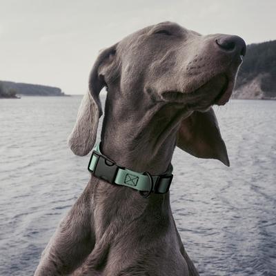 Show full view: Dogline Biothane QR Buckle Waterproof Standard Dog Collar, Sage Green, Large: 15 to 23-in neck, 1-in wide slide 7 of 9
