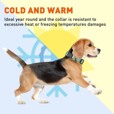 Show full view: Dogline Biothane QR Buckle Waterproof Standard Dog Collar, Sage Green, Large: 15 to 23-in neck, 1-in wide slide 5 of 9