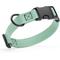 Show in main carousel: Dogline Biothane QR Buckle Waterproof Standard Dog Collar, Sage Green, Large: 15 to 23-in neck, 1-in wide slide 1 of 9