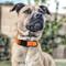 Show in main carousel: Dogline Biothane QR Buckle Waterproof Standard Dog Collar, Hunter Orange, Large: 15 to 23-in neck, 1-in wide slide 9 of 10