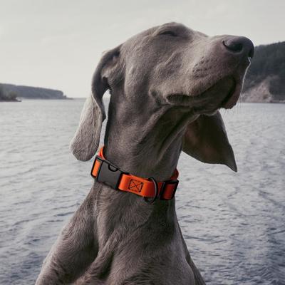 Show full view: Dogline Biothane QR Buckle Waterproof Standard Dog Collar, Hunter Orange, Large: 15 to 23-in neck, 1-in wide slide 8 of 10