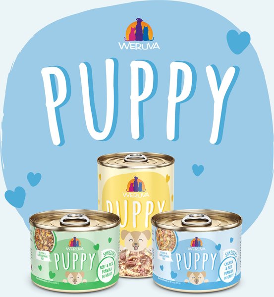 Weruva Puppy Chicken & Rice Formula in Gravy Wet Dog Food