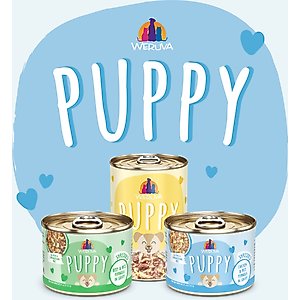 Weruva Puppy Chicken & Rice Formula in Gravy Wet Dog Food, 6-oz can, case of 8