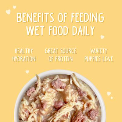 Show full view: Weruva Puppy Chicken Formula in Gravy Wet Dog Food, 6-oz can, case of 8 slide 6 of 11