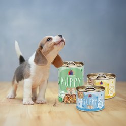 Weruva Puppy Beef & Rice Formula in Gravy Wet Dog Food, 6-oz can, case of 8 slide 2 of 9