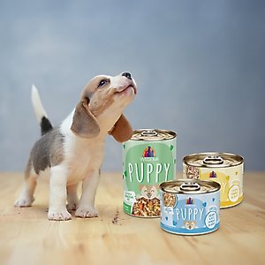 Weruva Puppy Chicken & Rice Formula in Gravy Wet Dog Food, 6-oz can, case of 8