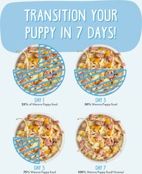 Weruva Puppy Chicken & Rice Formula in Gravy Wet Dog Food, 6-oz can, case of 8 slide 2 of 9