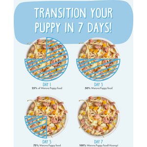 Weruva Puppy Chicken & Rice Formula in Gravy Wet Dog Food, 6-oz can, case of 8