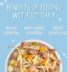 Weruva Puppy Chicken & Rice Formula in Gravy Wet Dog Food, 14-oz can, case of 10 slide 2 of 9