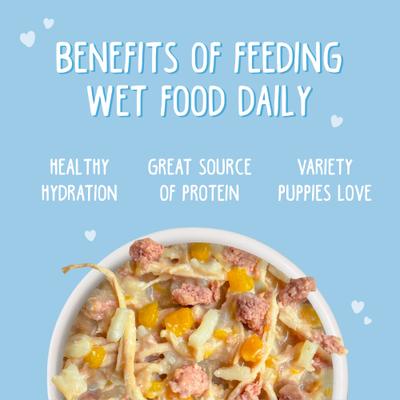Show full view: Weruva Puppy Chicken & Rice Formula in Gravy Wet Dog Food, 14-oz can, case of 10 slide 6 of 11