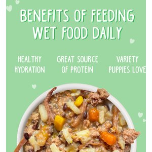 Weruva Puppy Beef & Rice Formula in Gravy Wet Dog Food, 6-oz can, case of 8