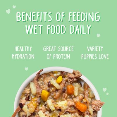 Show full view: Weruva Puppy Beef & Rice Formula in Gravy Wet Dog Food, 6-oz can, case of 8 slide 6 of 11