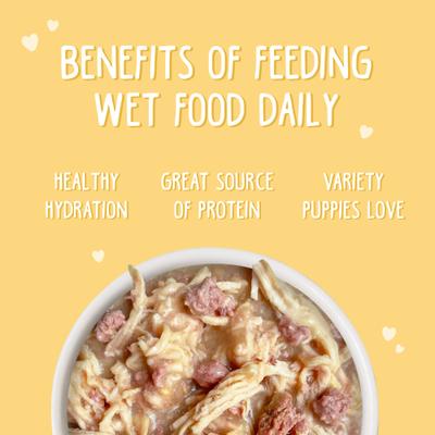 Show full view: Weruva Puppy Chicken Formula in Gravy Wet Dog Food, 14-oz can, case of 10 slide 6 of 11