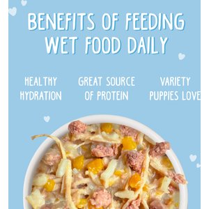 Weruva Puppy Chicken & Rice Formula in Gravy Wet Dog Food, 6-oz can, case of 8