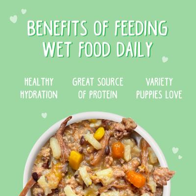 Show full view: Weruva Puppy Beef & Rice Formula in Gravy Wet Dog Food, 14-oz can, case of 10 slide 6 of 11