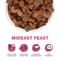 Show in main carousel: Weruva Mideast Feast Grain-Free Freeze-Dried Cat Food, 1-oz bag slide 4 of 13