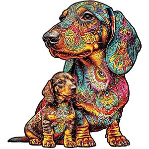 Muddy Mat Mesh Quick-Dry Dog Door Mat