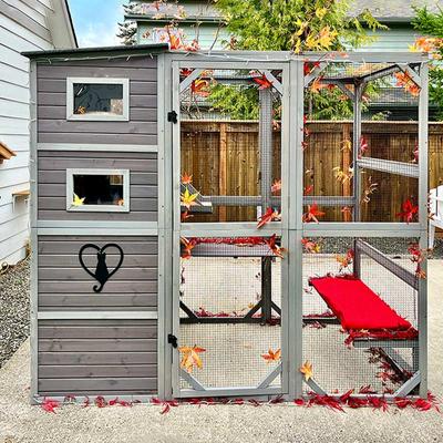 Show full view: Aivituvin AIR54 Outdoor Cat House, Gray slide 2 of 10