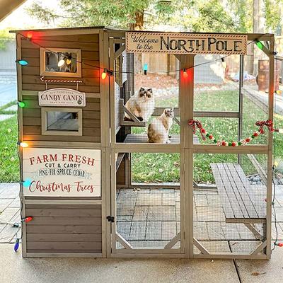 Show full view: Aivituvin AIR54 Outdoor Cat House, Gray slide 3 of 10