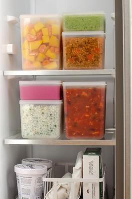 Show full view: W&P Freezer Cubes Set Dog Food Storage, 3 count slide 4 of 7