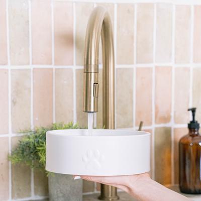 Show full view: Dexypaws Ceramic Dog Bowl, White, 4-cup slide 4 of 6