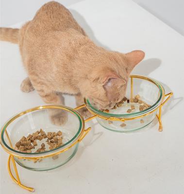 Show full view: Dexypaws 2 Piece Elevated Glass Cat Bowl Set, 1.5-cup, 2 count slide 5 of 5