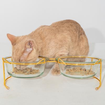 Show full view: Dexypaws 2 Piece Elevated Glass Cat Bowl Set, 1.5-cup, 2 count slide 2 of 5