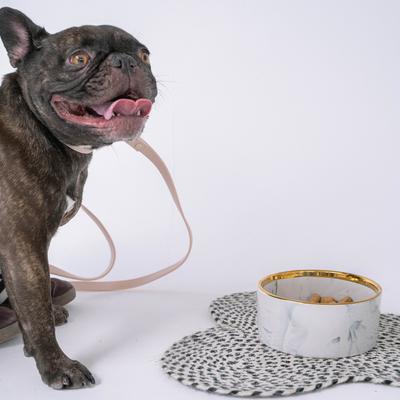 Show full view: Dexypaws Marble Dog Bowl, Gray & Gold, 2-cup slide 6 of 7