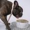 Show in main carousel: Dexypaws Marble Dog Bowl, Gray & Gold, 2-cup slide 3 of 7