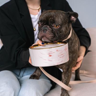 Show full view: Dexypaws Marble Dog Bowl, Blush Pink & Gold, 2-cup slide 4 of 6