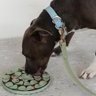 Show full view: Dexypaws Enrichment Snuffle Mat Dog Slow Feeder, Sage Green Circle slide 5 of 6