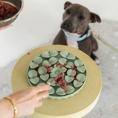 Show full view: Dexypaws Enrichment Snuffle Mat Dog Slow Feeder, Sage Green Circle slide 4 of 6