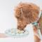 Show in main carousel: Dexypaws Enrichment Snuffle Mat Dog Slow Feeder, Sky Blue Circle slide 3 of 5