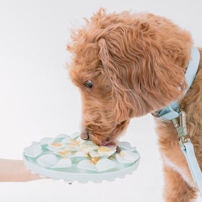 Show full view: Dexypaws Enrichment Snuffle Mat Dog Slow Feeder, Sky Blue Circle slide 3 of 5