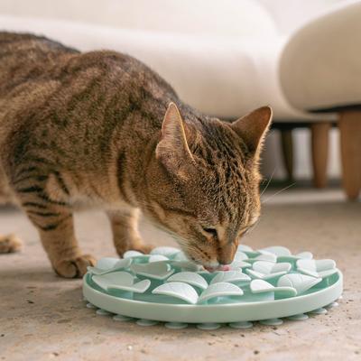 Show full view: Dexypaws Enrichment Snuffle Mat Dog Slow Feeder, Sky Blue Circle slide 4 of 5