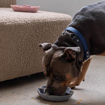 Show full view: Dexypaws Flower Slow Feeder, Grey slide 4 of 6