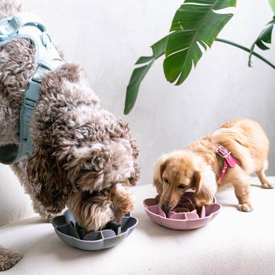 Show full view: Dexypaws Flower Slow Feeder, Grey slide 5 of 6