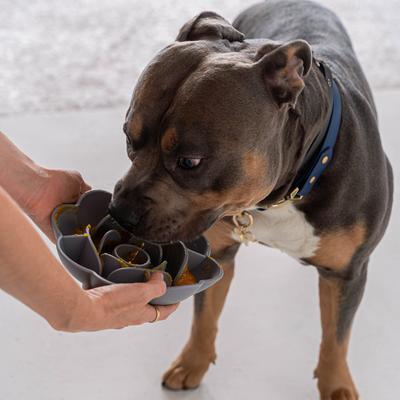 Show full view: Dexypaws Flower Slow Feeder, Grey slide 3 of 6