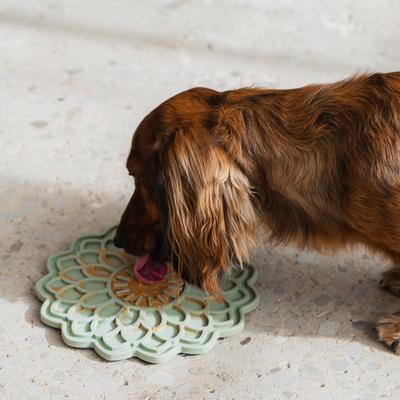 Show full view: Dexypaws Enrichment Lick Mat Sage Green Blooming Blossom Dog Slow Feeder slide 5 of 9