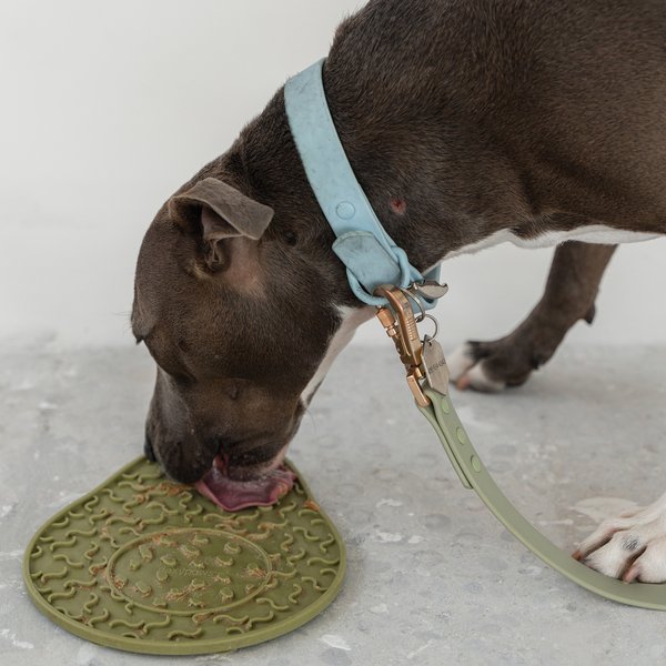 Dexypaws Enrichment Lick Mat Blush Pink Heart Dog Slow Feeder