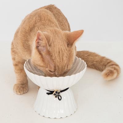 Show full view: Dexypaws Elevated Ceramic Cat Bowl, White & Black, 8.4-oz slide 4 of 6