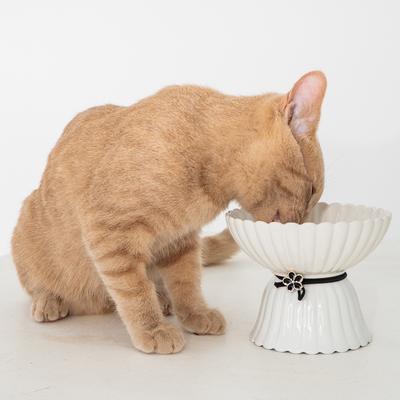 Show full view: Dexypaws Elevated Ceramic Cat Bowl, White & Black, 8.4-oz slide 2 of 6