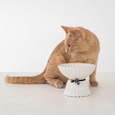 Show full view: Dexypaws Elevated Ceramic Cat Bowl, White & Black, 8.4-oz slide 5 of 6