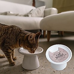 Dexypaws Flat Top Ceramic Cat Bowl, White, 1-cup slide 2 of 5