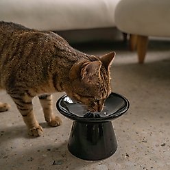 Dexypaws Flat Top Ceramic Cat Bowl, Black, 1-cup slide 2 of 5