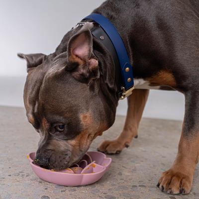 Show full view: Dexypaws Flower Dog Slow Feeder, Blush Pink slide 6 of 7