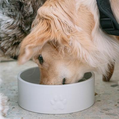 Show full view: Dexypaws Ceramic Dog Bowl, White, 4-cup slide 2 of 6