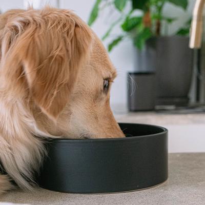 Show full view: Dexypaws Ceramic Dog Bowl, Black, 4-cup slide 2 of 8